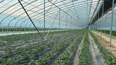 В 2024 году в Туркестанской области планируют реализовать инвестпроекты на 114 млрд тенге