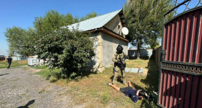 В Алматинской области ликвидировали подпольную фитолабораторию