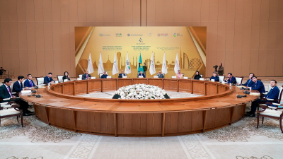 Арабская координационная группа рассматривает финансирование проектов на $7 млрд
