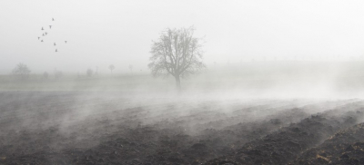 Потепление до +25 и морозы до -20: какой будет ноябрьская погода рассказали в &quot;Казгидромете&quot;