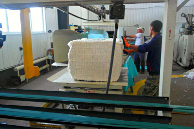 Посеяли хлопок, вырастили&hellip; кластер