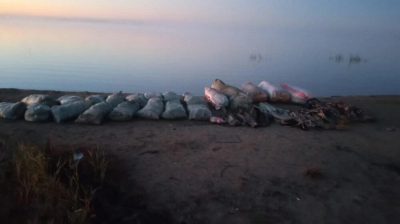 Крупнейший случай браконьерства выявлен в нацпарке &quot;Бурабай&quot;