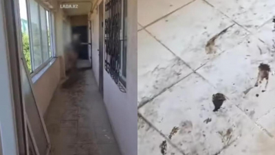 Жители дома в Актау пожаловались на соседку, которая ходит голой (видео)
