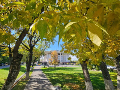 Сухая и теплая погода установится в южных регионах Казахстана