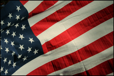 Уолц: с&nbsp;точки зрения права Трамп пытается заключить сделку по&nbsp;Гренландии