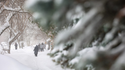 Республику ждет снежный удар: Татарстан готовится к обильным снегопадам 24/02/2026 &ndash; Новости