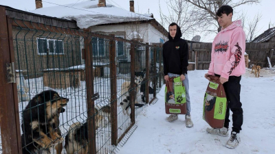 «Таза Қазақстан»: в Карагандинской области волонтёры помогают бездомным животным